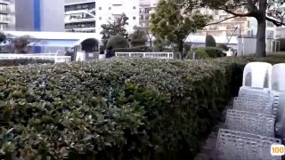 未成年禁入,美国成人在线在线视频,海量高清AV在线看